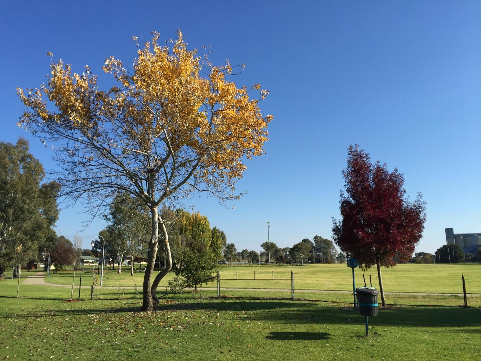 Junee Tourist Park Exteriér fotografie
